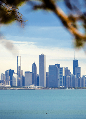 Chicago skyline behind the lake